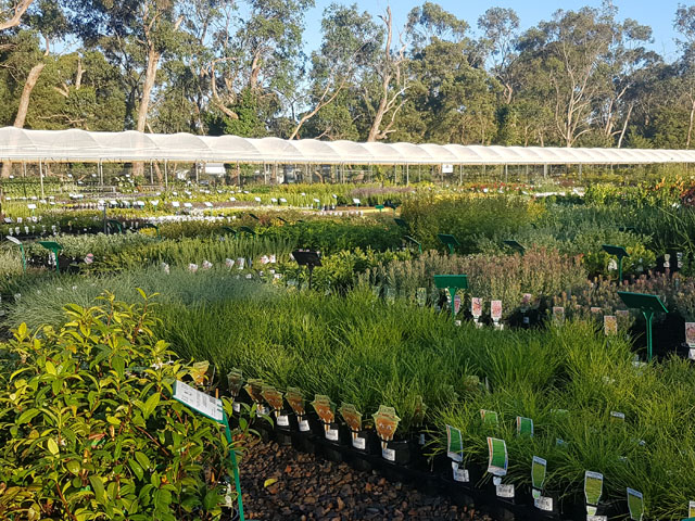 Plant Multi Nursery Has Moved!